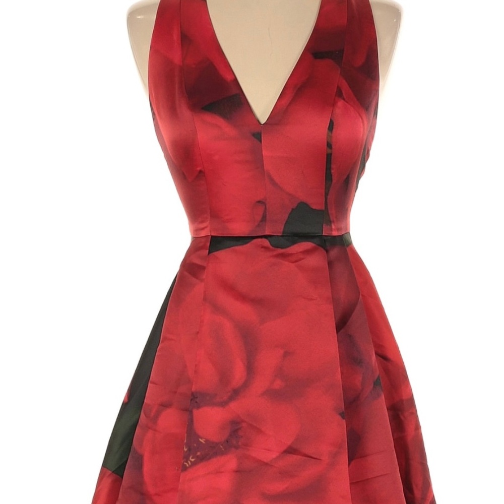 Alice + Olivia Floral mini dress